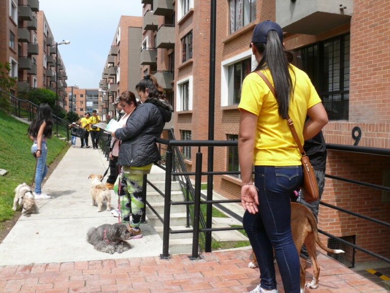 BAÑO MASCOTAS PALMETO