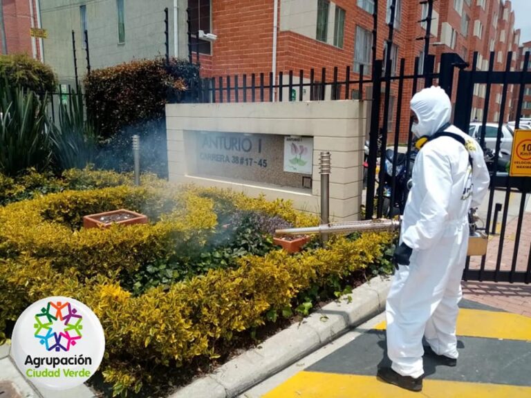 JORNADA_DE_DESINFECCION