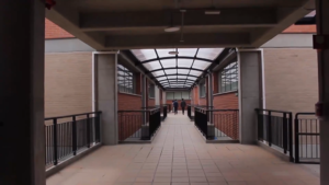 Diseño y Arquitectura