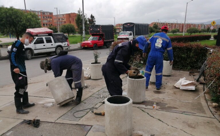 Instalación de Materas Ponsetia
