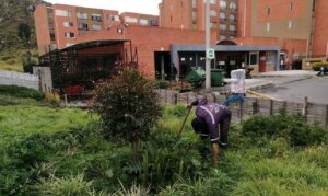 Zonas Verdes Astromelia 1 y 2