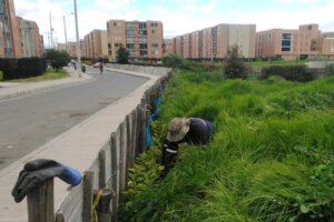Zonas Verdes Astromelia 1 y 2