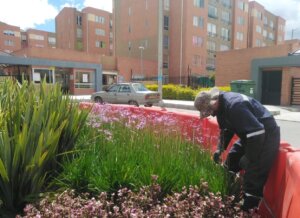 Zonas Verdes Astromelia 1 y 2