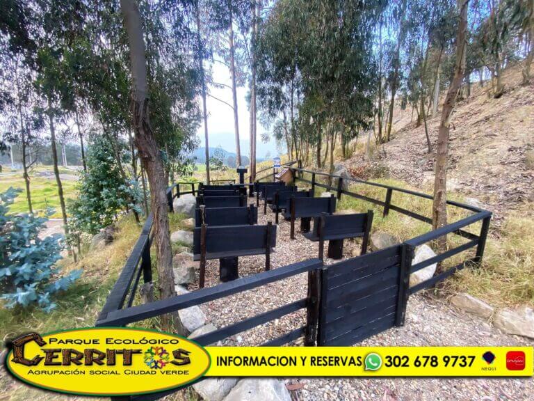 INAUGURACION PARQUE CERRITOS