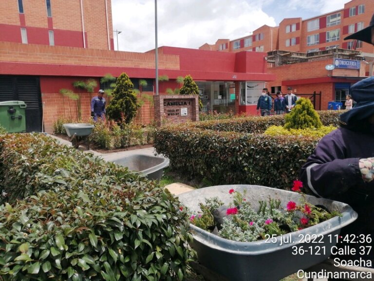 Diseño y adecuación Jardín Camelia 1