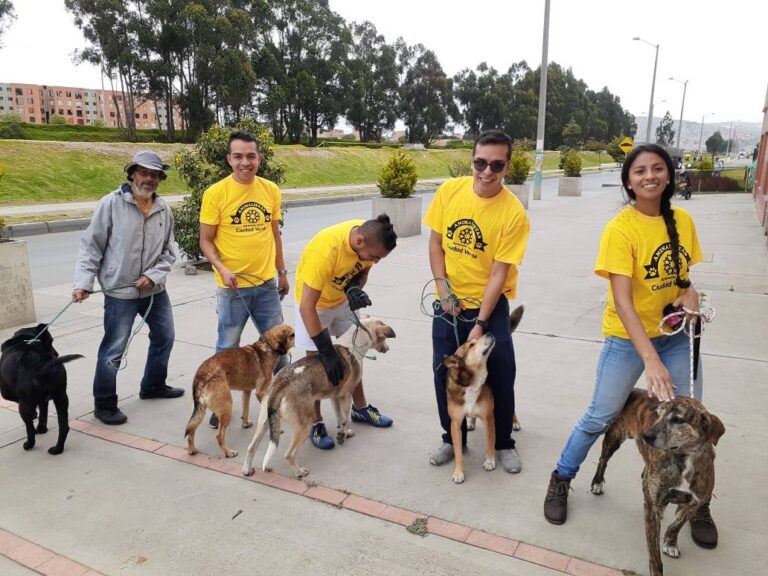 Proyecto Esterilización de Caninos