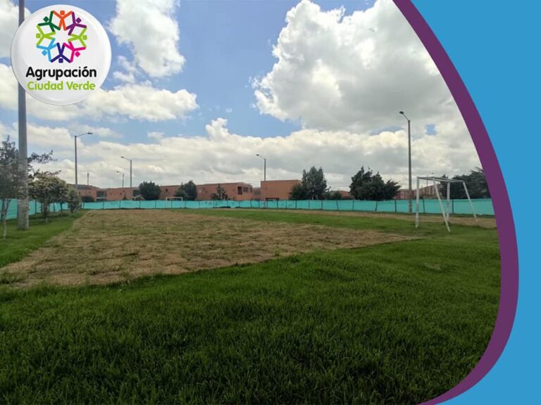 Recuperación de las Canchas