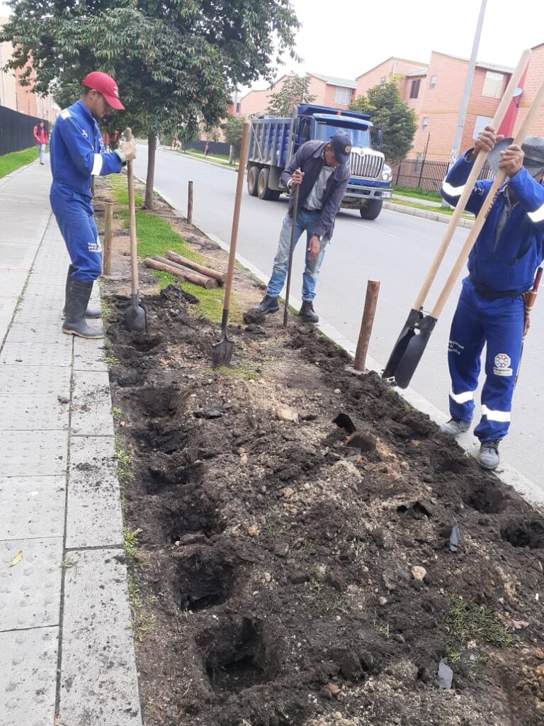 ADECUACIONES ZONAS VERDES BAMBU