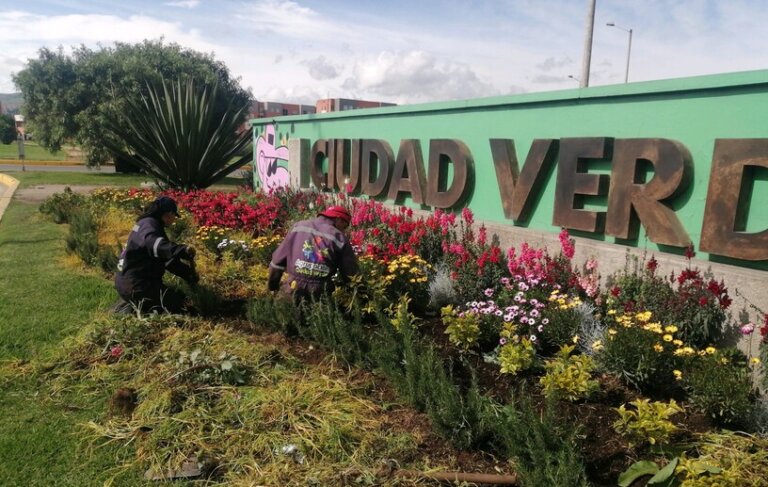 Mantenimiento Jardín del Letrero
