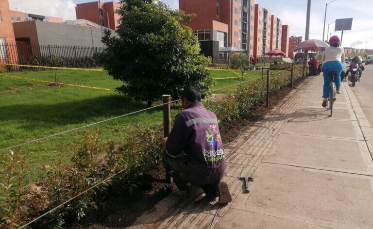 Fumigación y Cercado Vivo