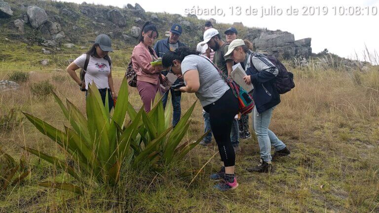 INVENTARIO BIODIVERSIDAD