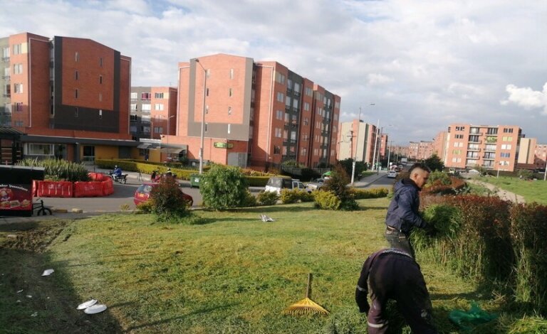 Poda Astromelia 1 y Astromelia 2