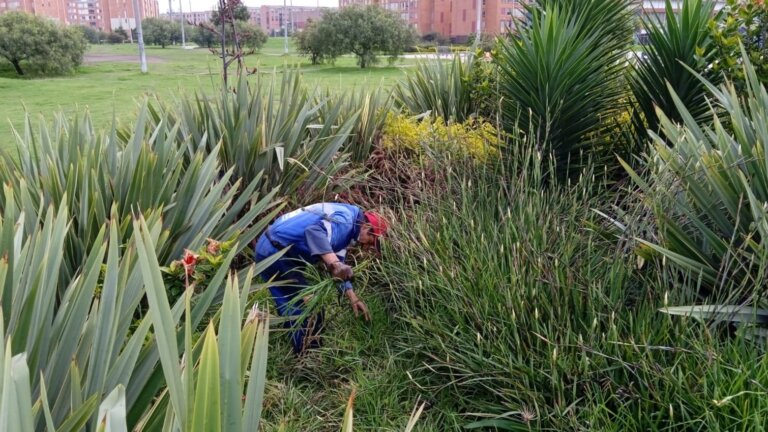 Poda Jardines Gigantes