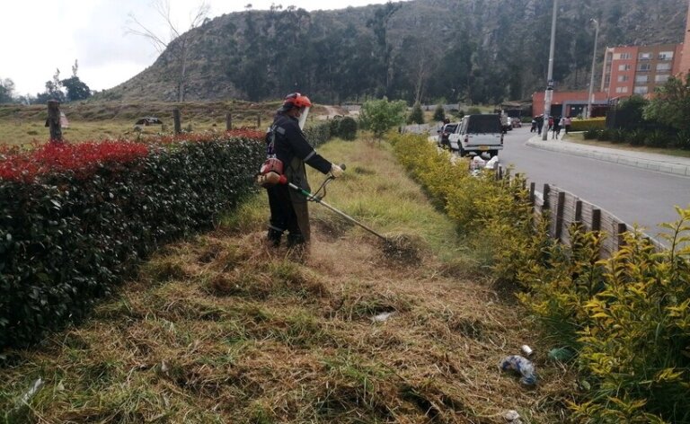 Limpieza Zonas Verdes Astromelia