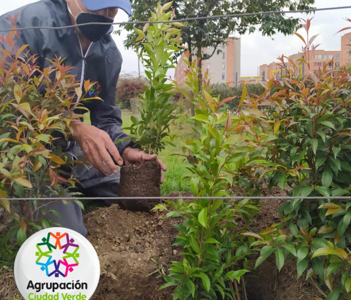 RECUPERACION_DE_ZONAS_VERDES